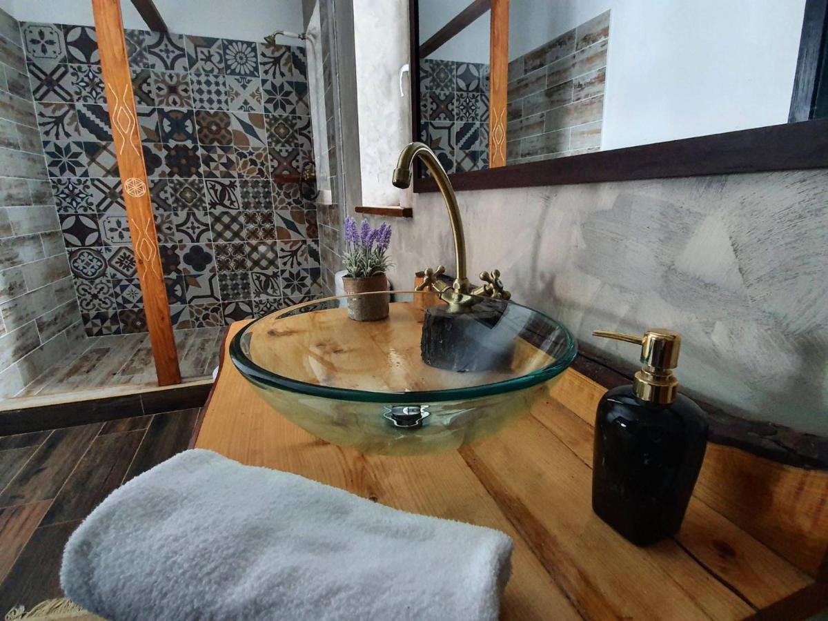 Casa Mesterului Sohodol  Extérieur photo